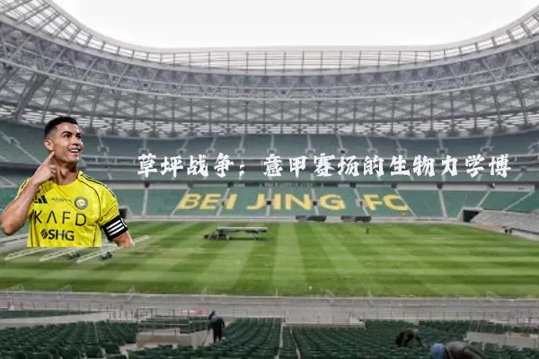 草坪战争：意甲赛场的生物力学博弈