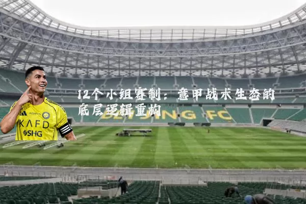 12个小组赛制:意甲战术生态的底层逻辑重构